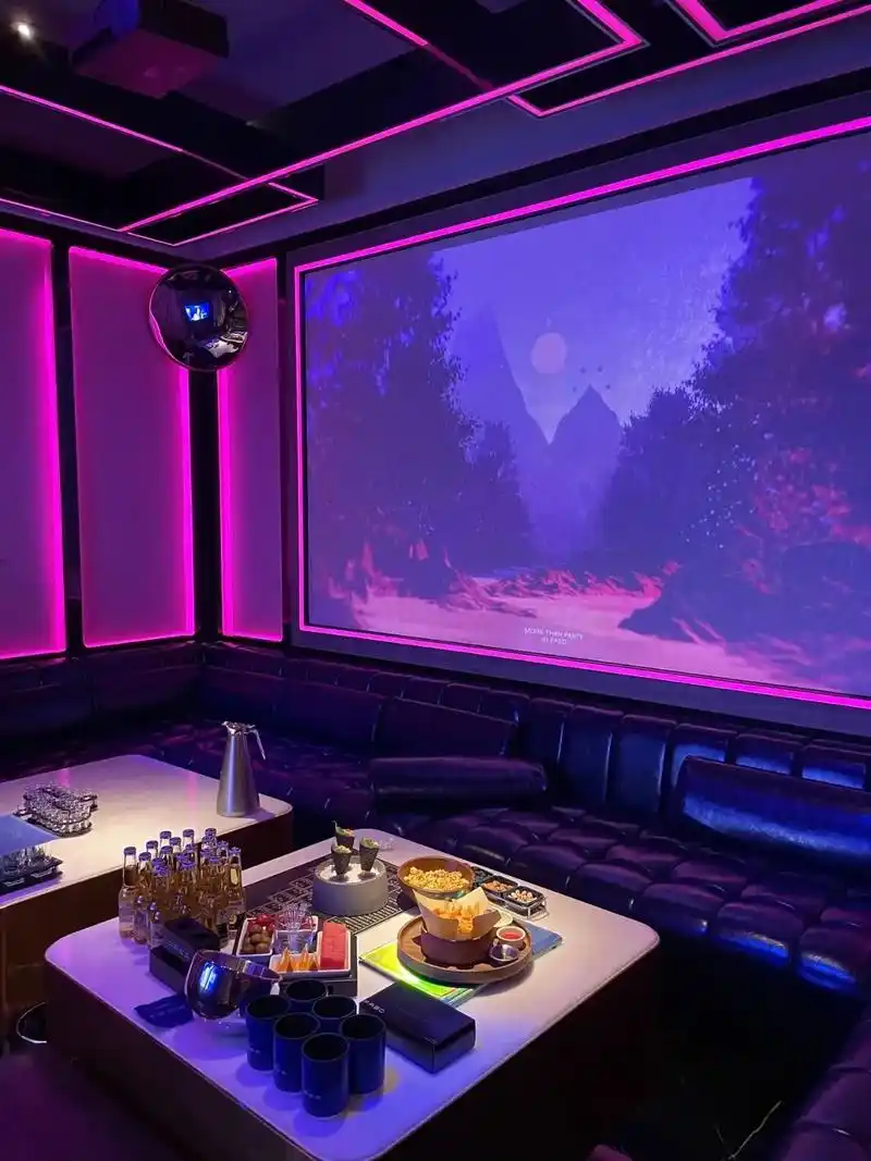 安康商务ktv提供优质单人商务ktv体验-岚皋县ktv预订