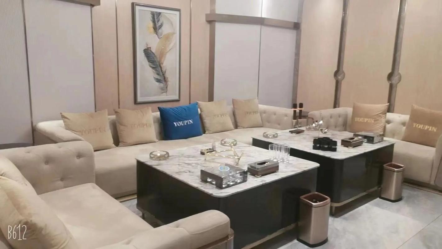 安康商务ktv引领商务ktv新玩法-镇坪县ktv预订